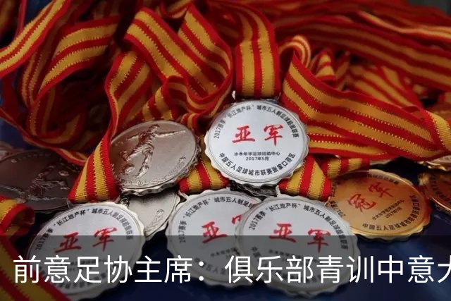 前意足协主席：俱乐部青训中意大利人只有30% 意大利本该进世界杯